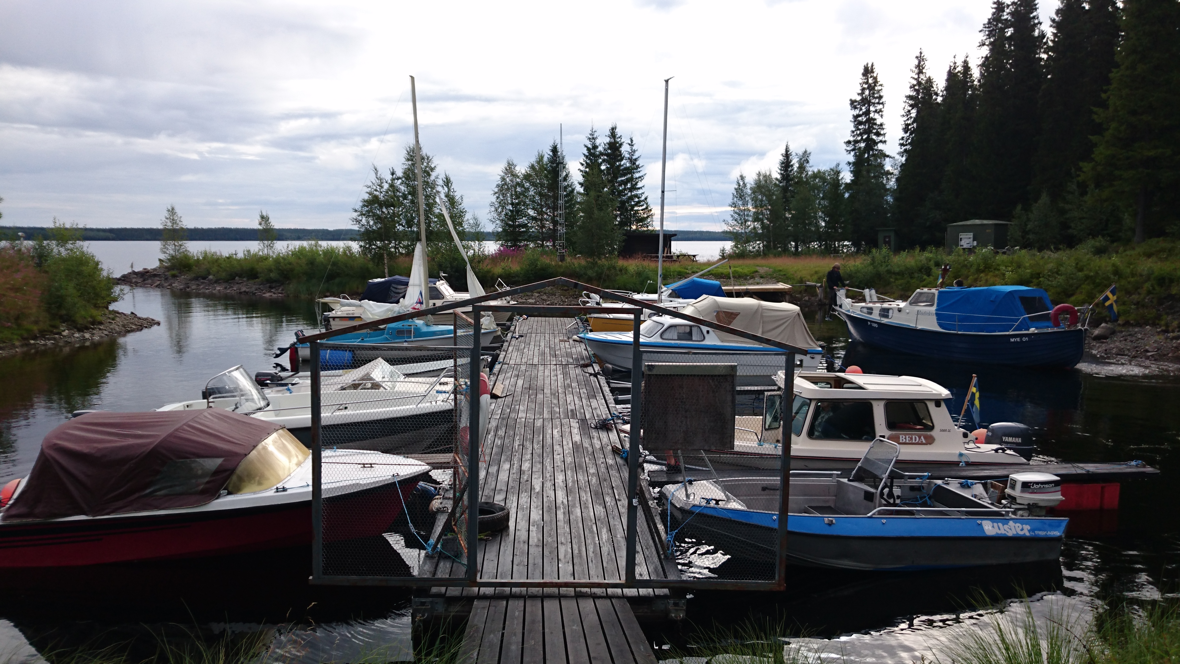 DSC_0343 (1)