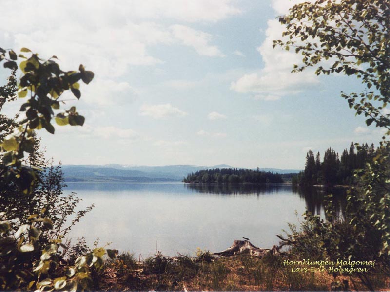 hornklimpen_01